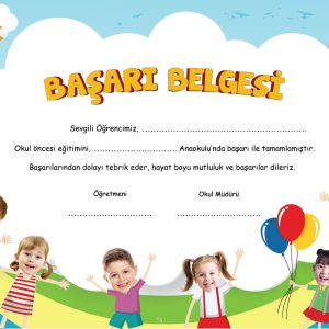 Başarı Belgesi
