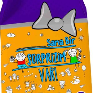 Sana Bir Sürprizim Var 5-6 Yaş