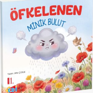 ÖFKELENEN MİNİK BULUT