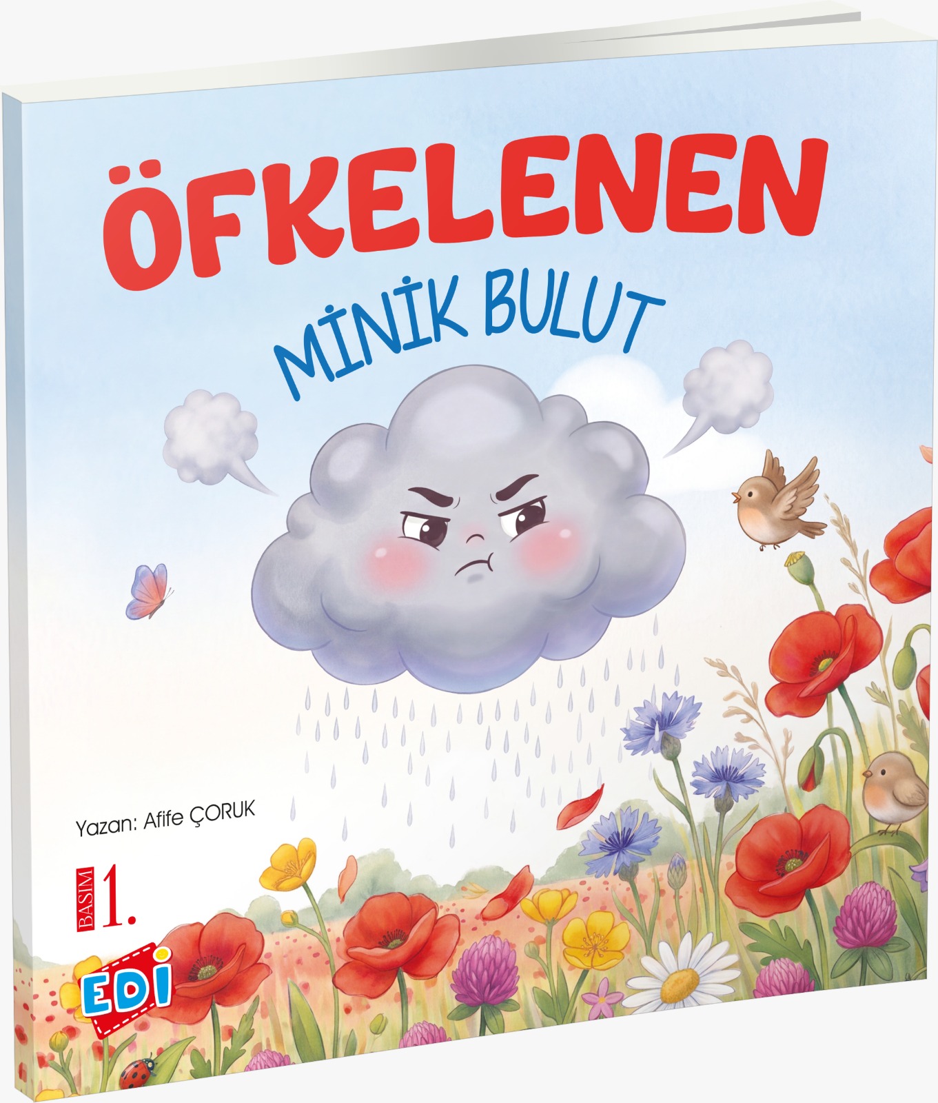 ÖFKELENEN MİNİK BULUT